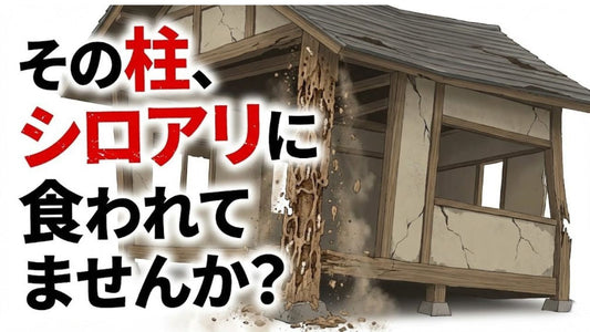 築30年の家、壁の中は見えません。老朽化した「木の柱」に命を預ける怖さと、寝室に独立した「鉄の柱」を立てる安心感。