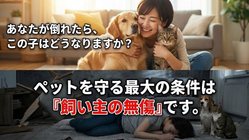 「ペットがいるから避難できない」は他人事じゃない──災害データが示す飼い主のジレンマと、自宅で命を守る選択肢